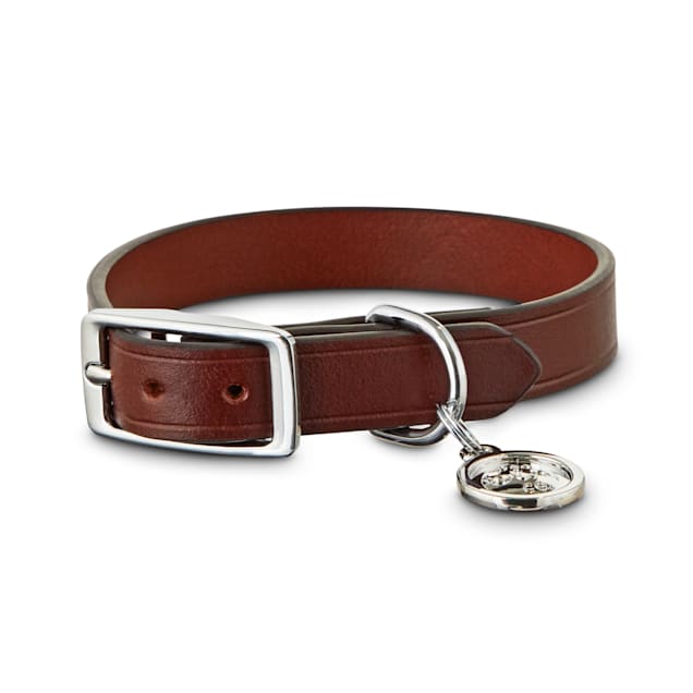 Small leather collar clearance