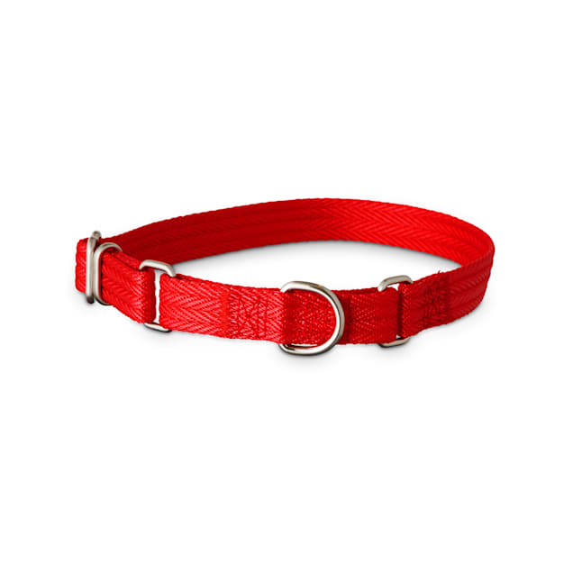 Red martingale collar