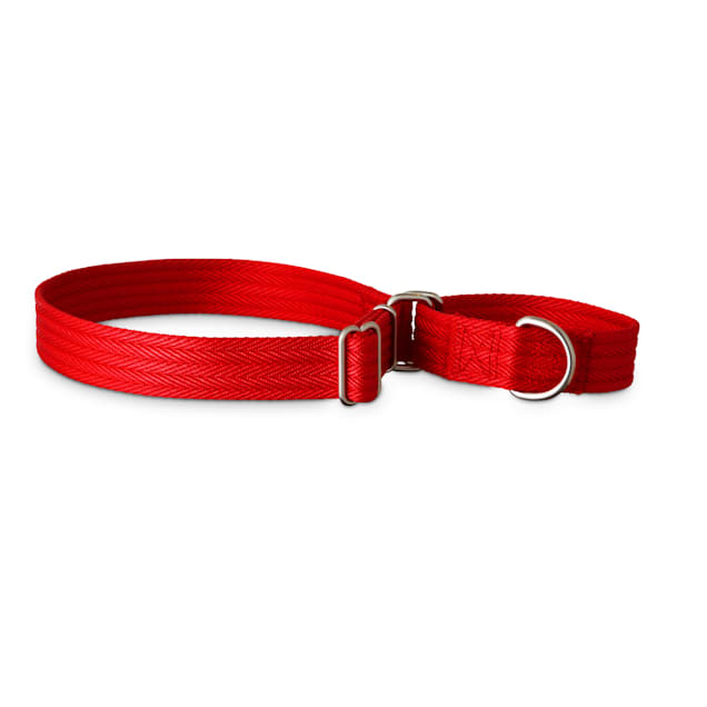 Good2Go Red Martingale Dog Collar Medium Petco