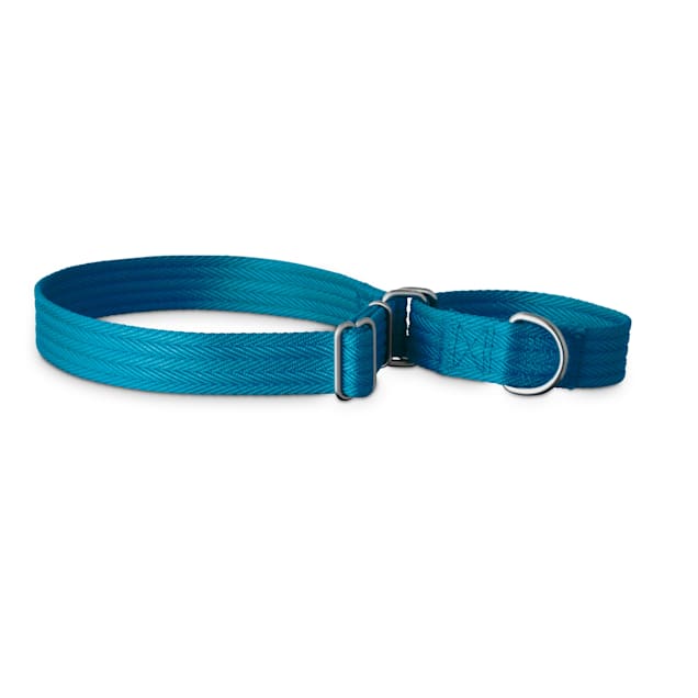 Good2go martingale collar best sale