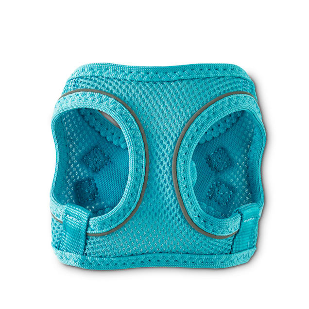 Bond & co harness small clearance