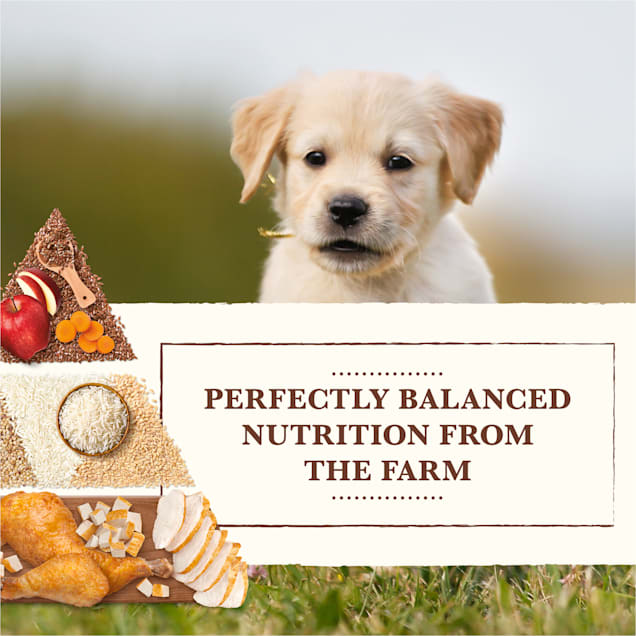 Whole earth top dog food coupons
