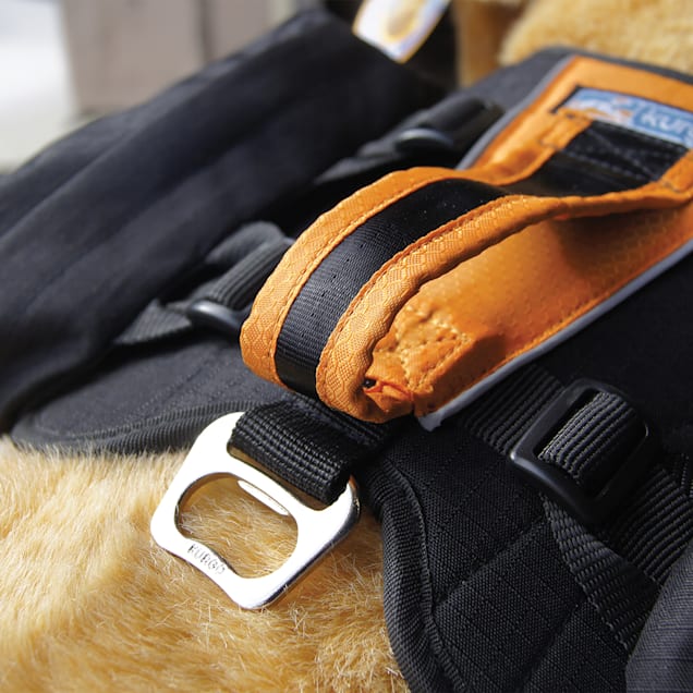 Kurgo Baxter Black & Orange, Dog Backpack