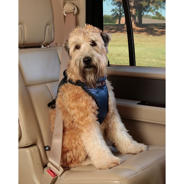 Solvit dog car harness Outlet