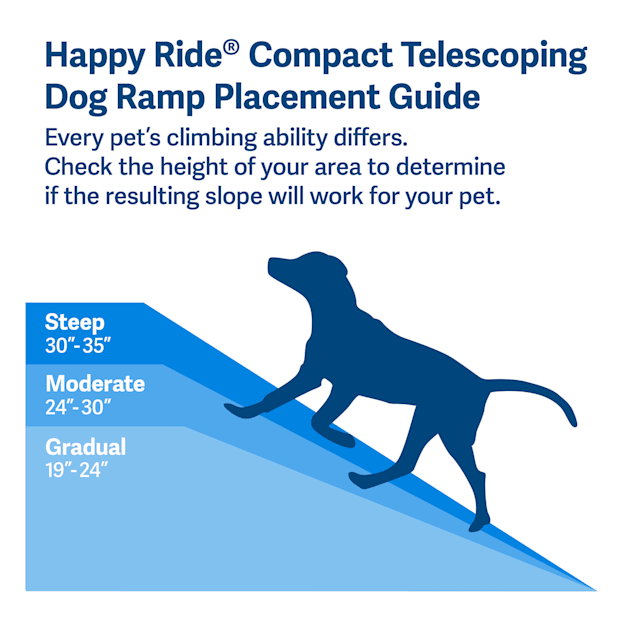 Pet safe dog new arrivals ramp