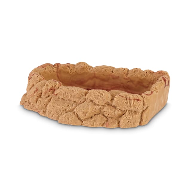 Petco water dish online