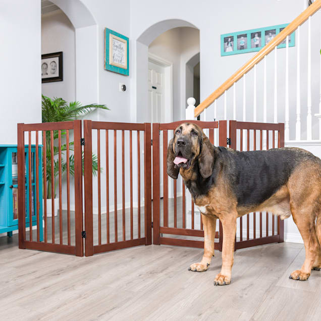 Freestanding pet discount gate with door