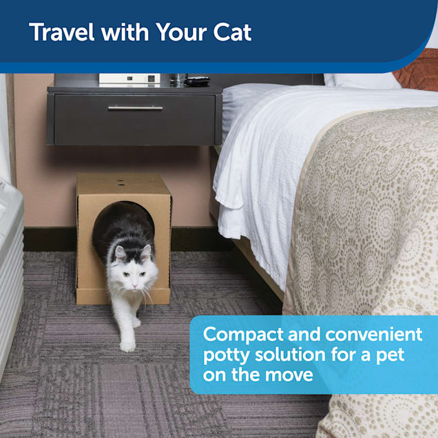 Travel litter box outlet
