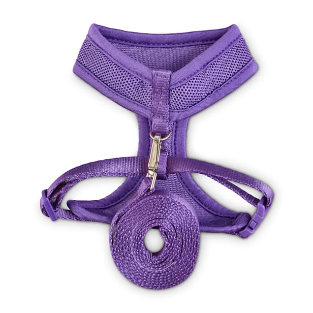 Vibrant Life Polyester Sparkle Walking Cat Harness and Leash Set, Purple,  One Size (12 to 16 Chest Size)