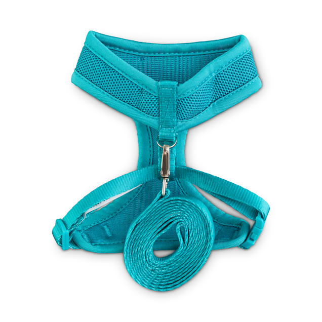 Petco hotsell cat leash