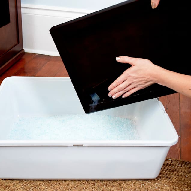 The refined feline sale refined litter box