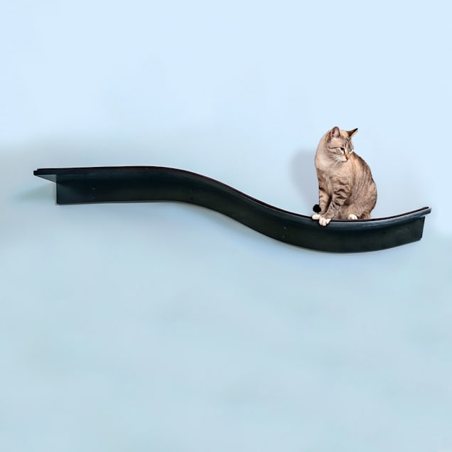 Petco shop cat shelves
