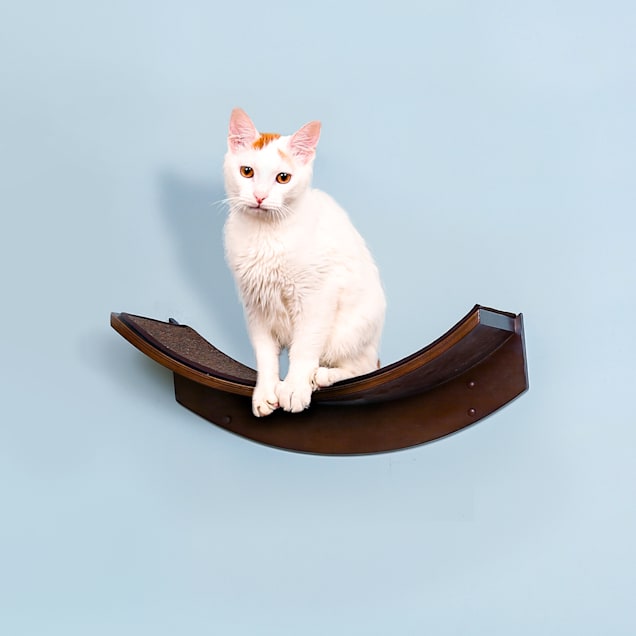 The store refined feline