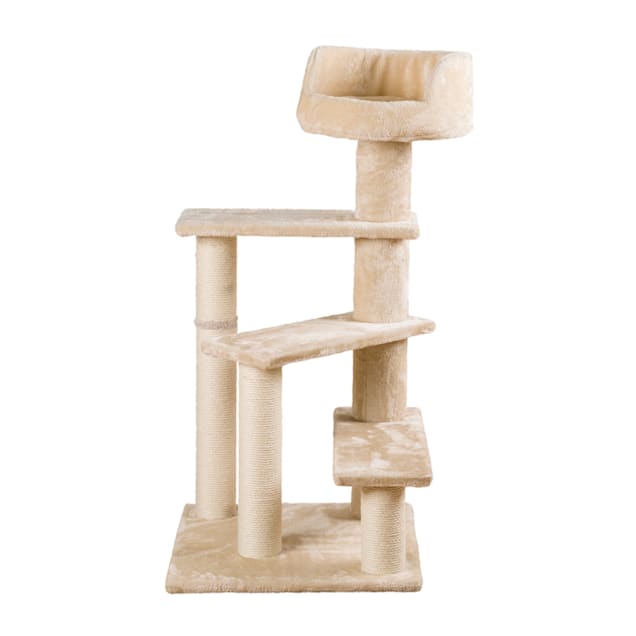 Senior cat scratching clearance post