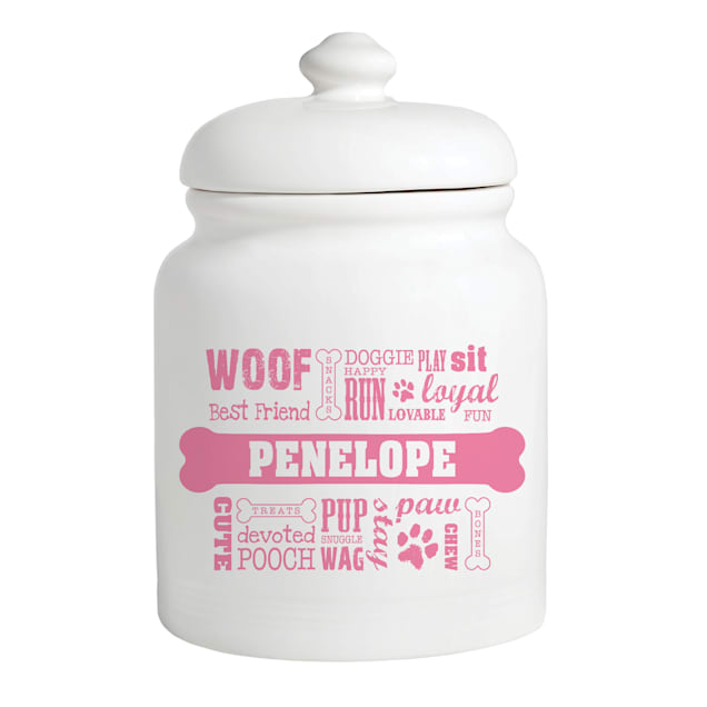 Pink dog treat discount jar