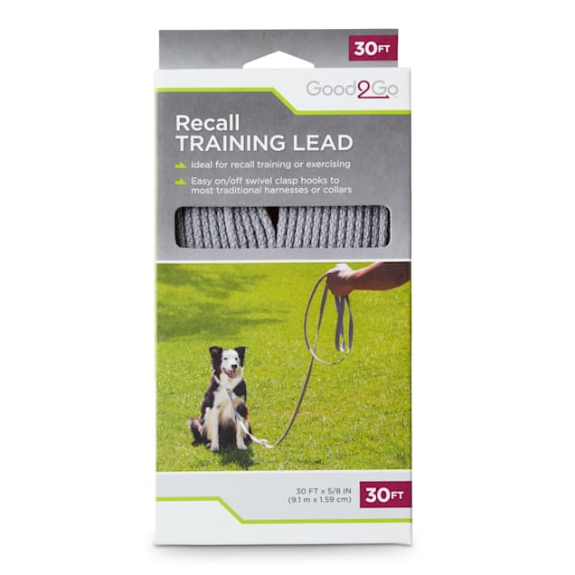 Petco training leash Clearance