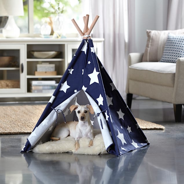 Dog teepee hotsell petco