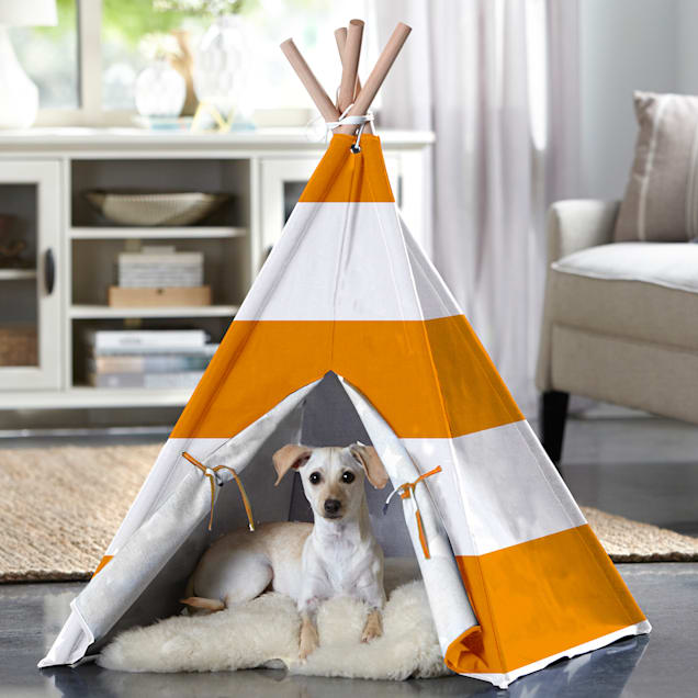 Petco dog teepee shop