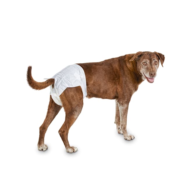 So Phresh Comfort Dry Disposable Dog Diapers Count Of 12 Petco