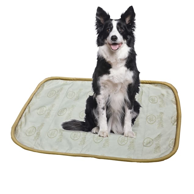 Wee wee pads petco store