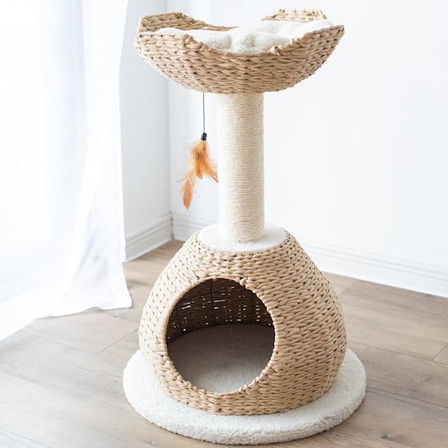 Petpals Group Walkup Natural Color Cat House With Condo Perch 19 L X 19 W X 30 H Petco