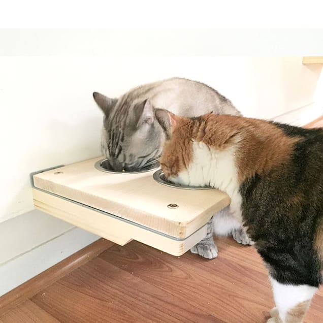 how to keep cat food away from dog