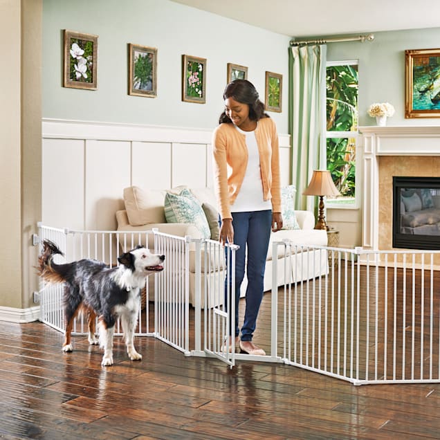 Petco retractable gate deals