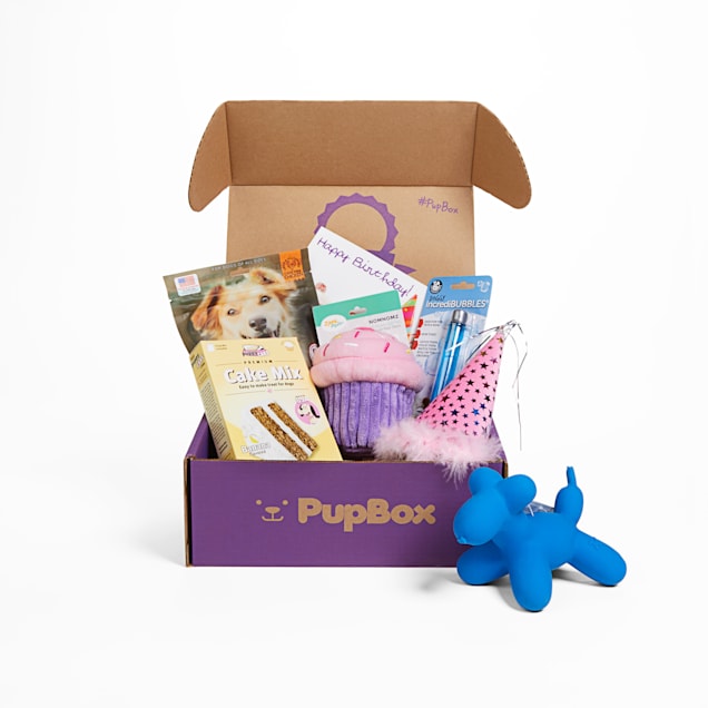 PupBox Birthday Girl Box, Large - Carousel image #1