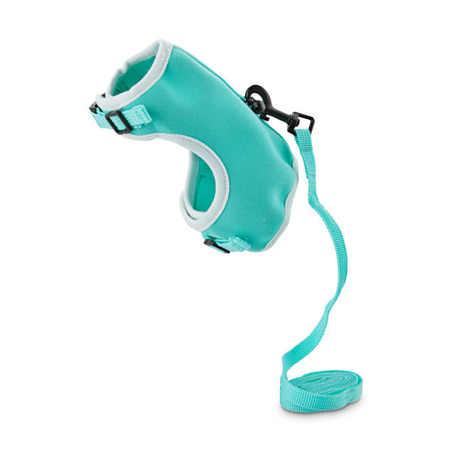 Bunny leash hot sale petco