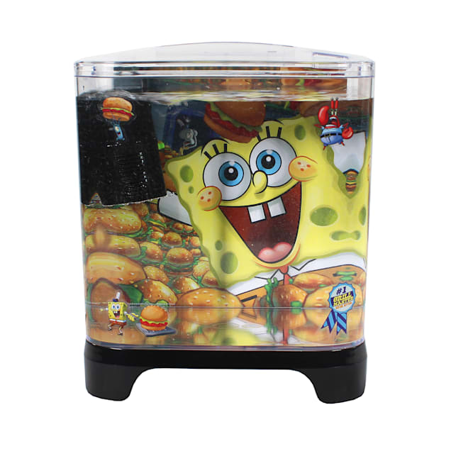 Spongebob aquarium kit top