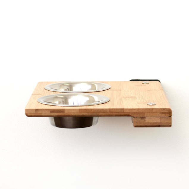 CatastrophiCreations The Cat Mod Feeder Shelf for Cats in ...