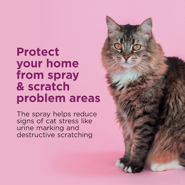 Comfort Zone Spray Scratch Control Calming Cat Spray 2 oz