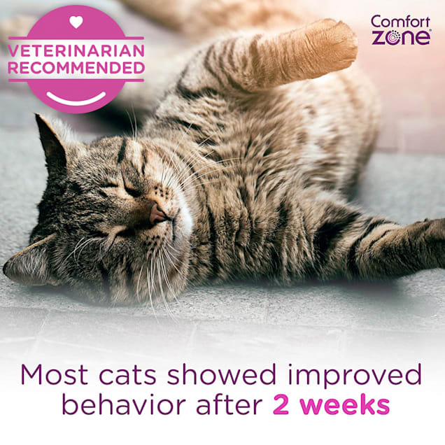 cheristin for cats reviews
