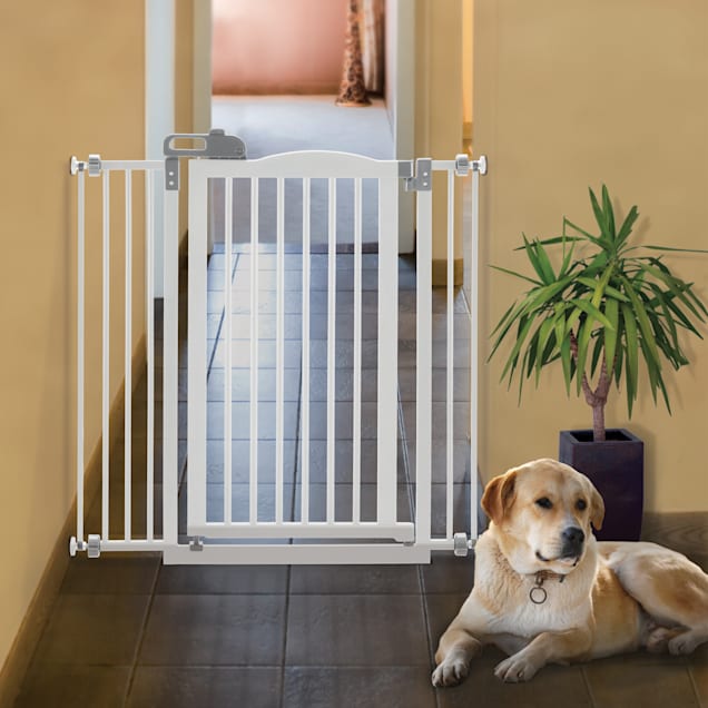 Richell one best sale touch pet gate