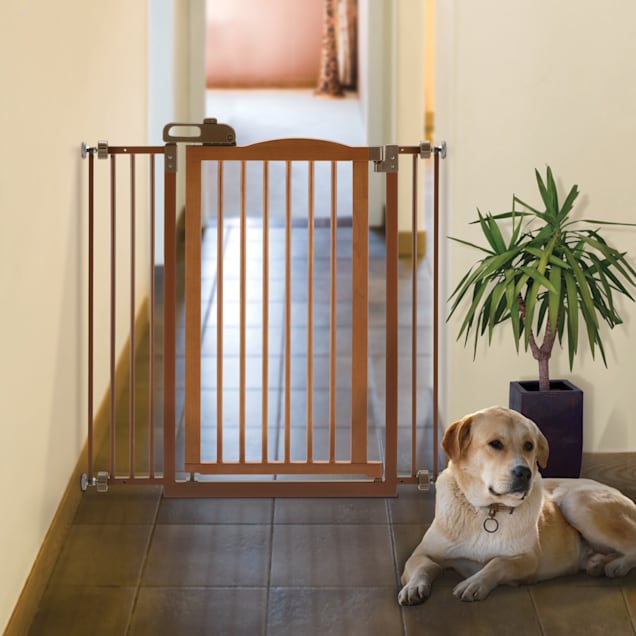 Tension dog gate hot sale