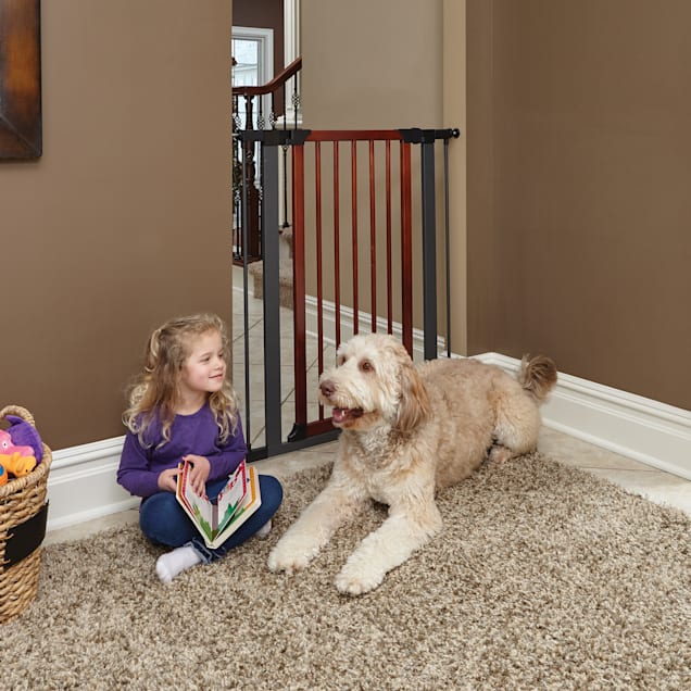 Petco pet gate outlet