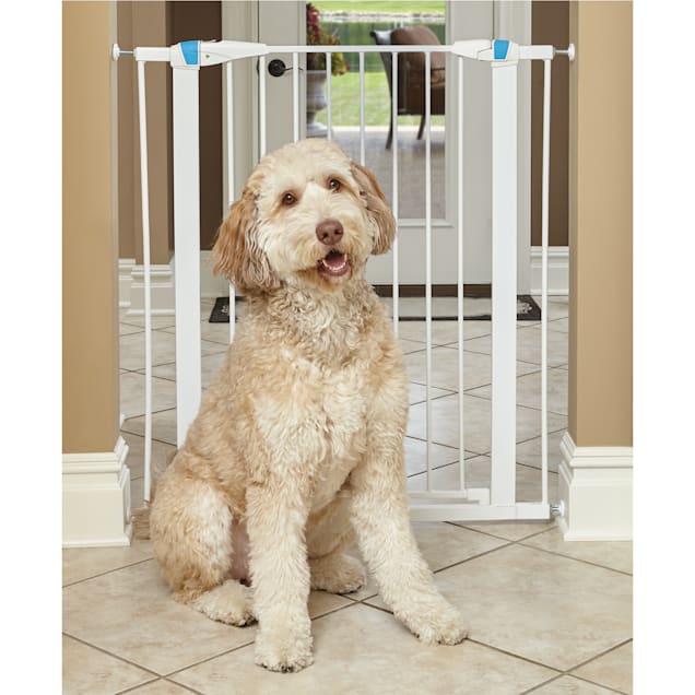 Petco dog gate new arrivals