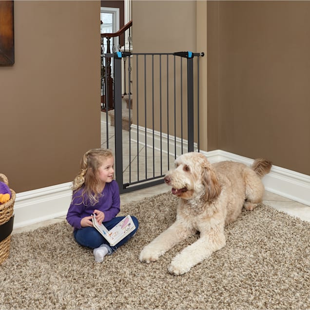 Steel pet gate clearance