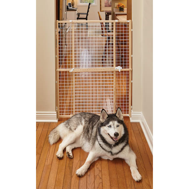 Midwest Wire Mesh Pet Safety Gate for Dogs 44