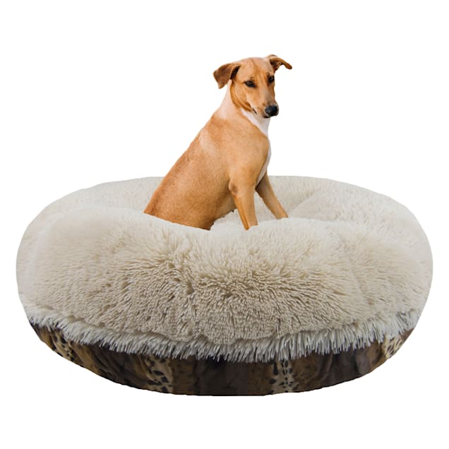 bagel bed bessie barnie