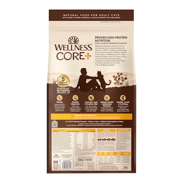 Wellness core natural grain free dry cat food top