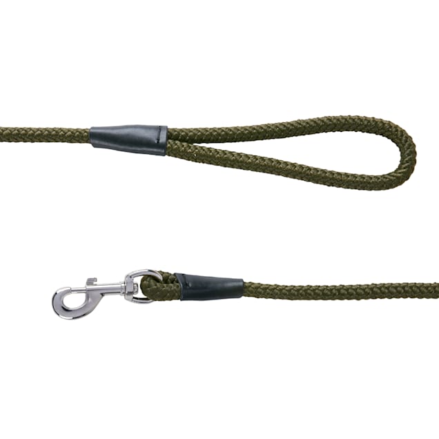 Track Tail Green Rope Dog Leash Petco