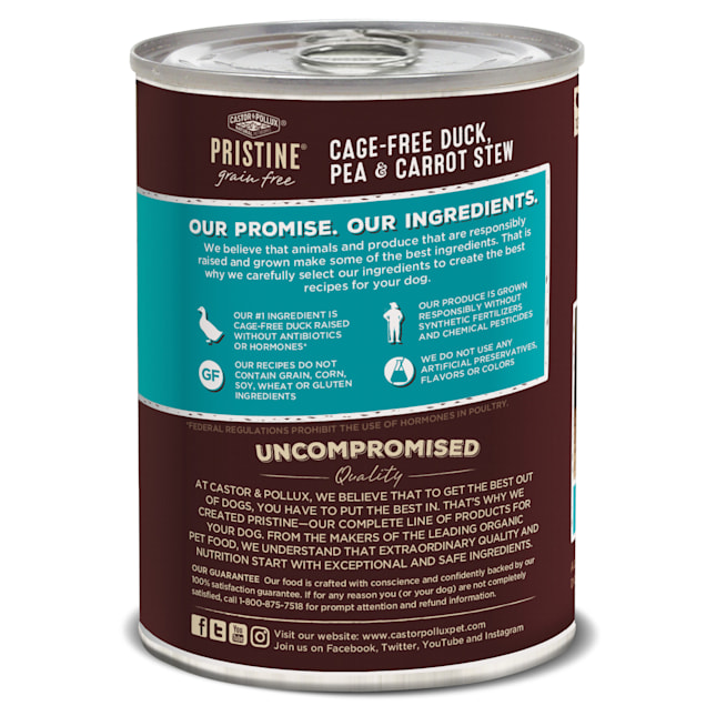 Castor pollux pristine dog hot sale food