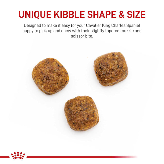 Royal Canin Breed Health Nutrition Cavalier King Charles Dry Puppy Food 3 lbs