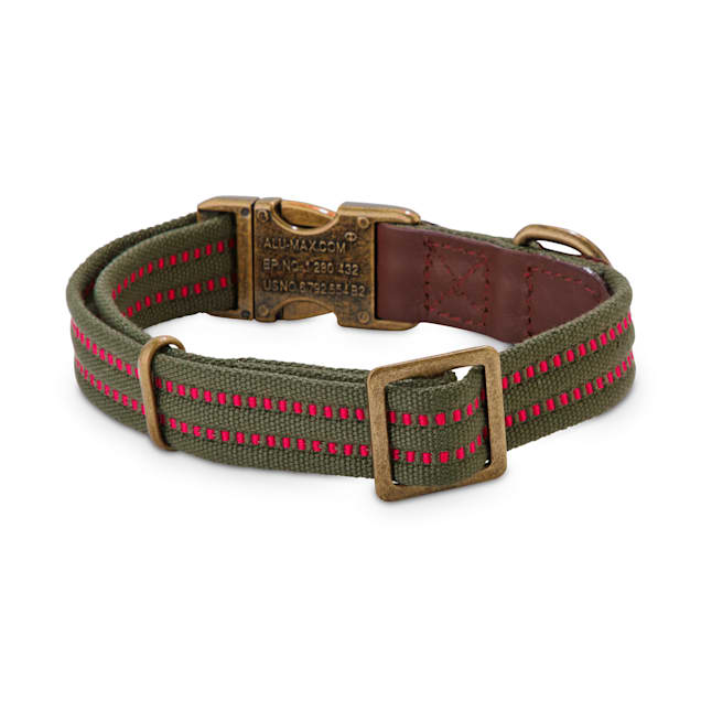 Reddy webbed dog collar clearance