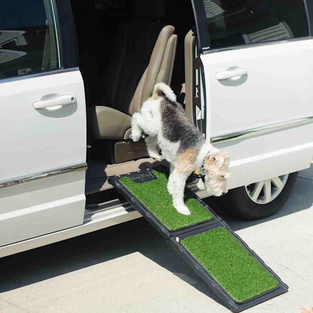 Gen7Pets Outdoor Natural Mini Ramp for Dogs, 42" L X 16" W X 1.5" H - Carousel image #1