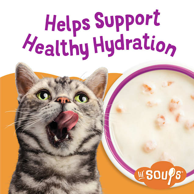 Friskies soup for cats cheap
