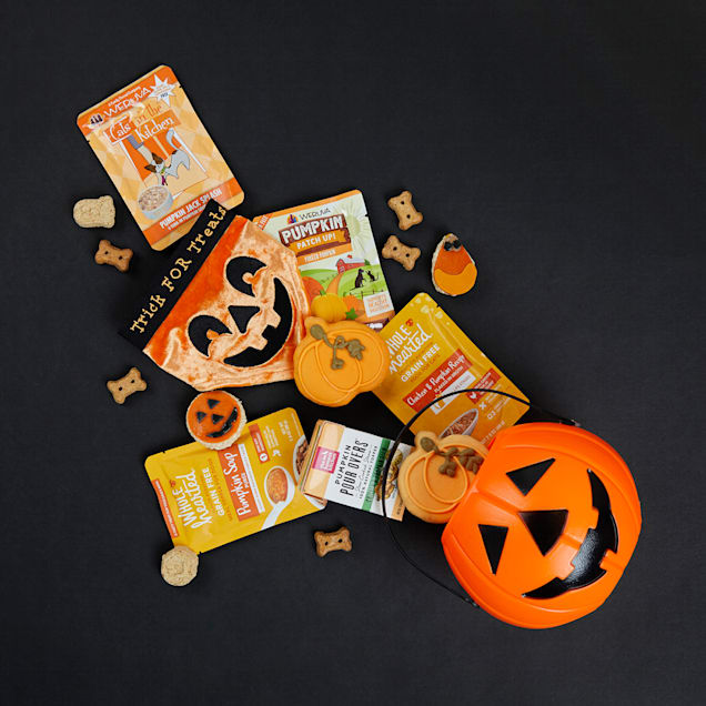 WholeHearted Pumpkin Soup Puree Dog Meal Topper 2.8 oz. Case of 6