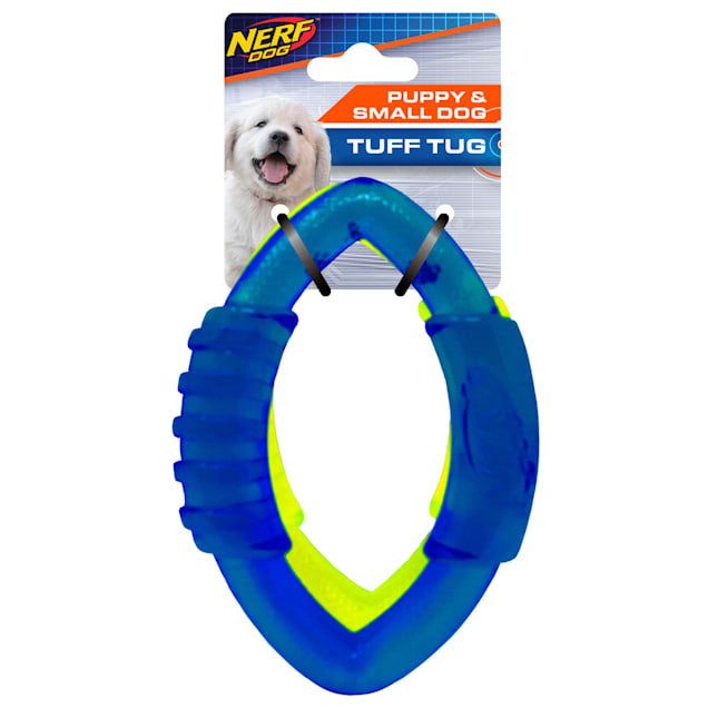 Nerf Translucent TPR Football Ring Blue and Green Dog Toy, Small, Pack of 2 - Carousel image #1