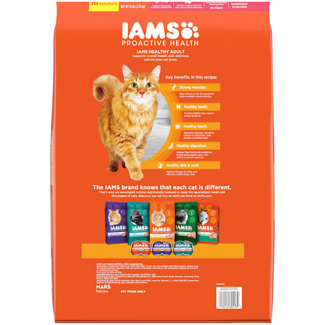 Iams salmon online cat food